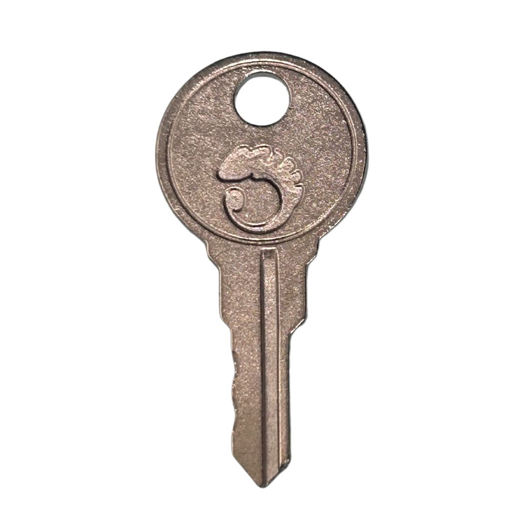Chameleon Window Key